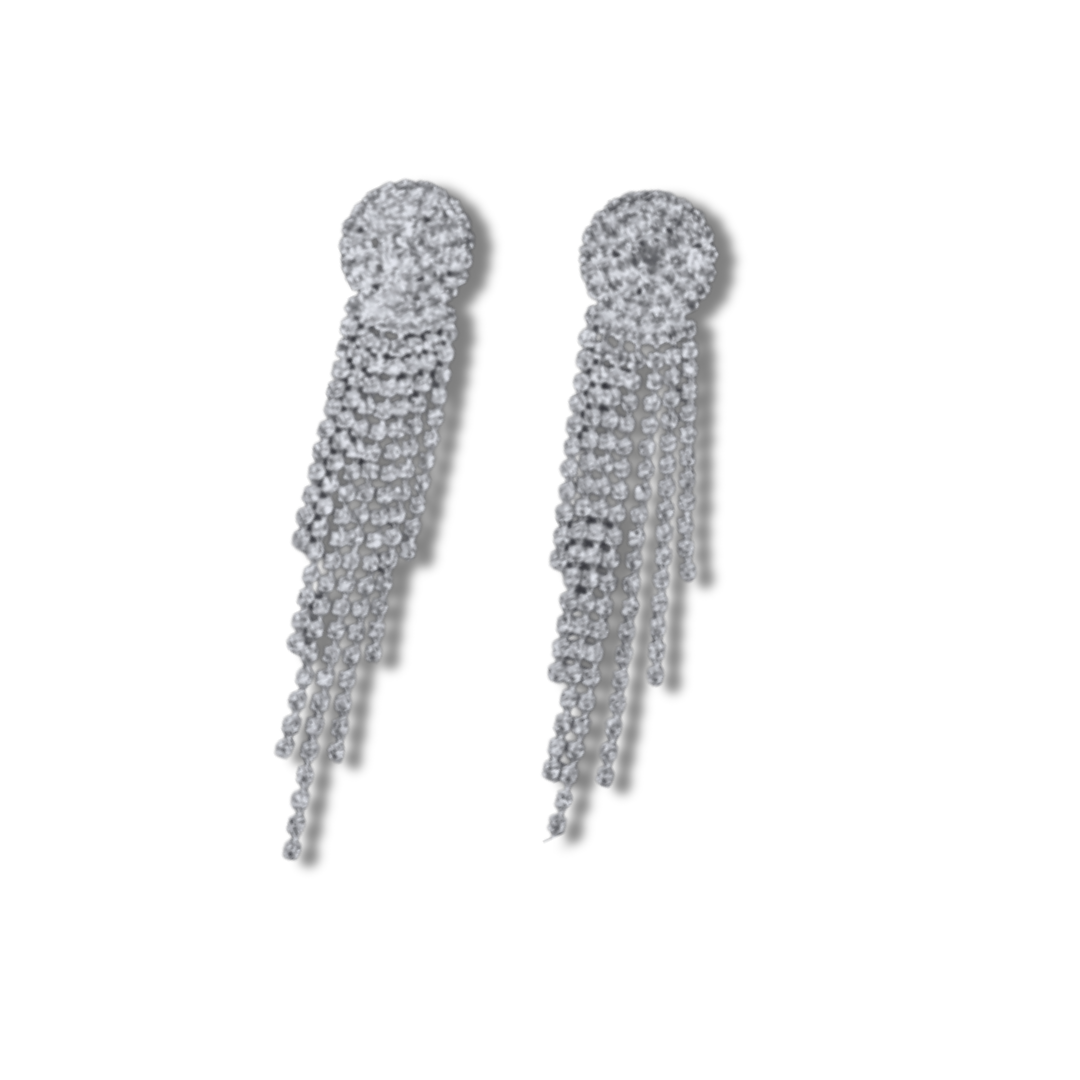 the "MAXINE"  Small Silver Earring