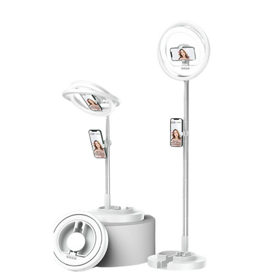 Dual Tripod Check In and Content Standing Light